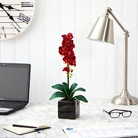 20" Orchid Arrangement in Black Planter