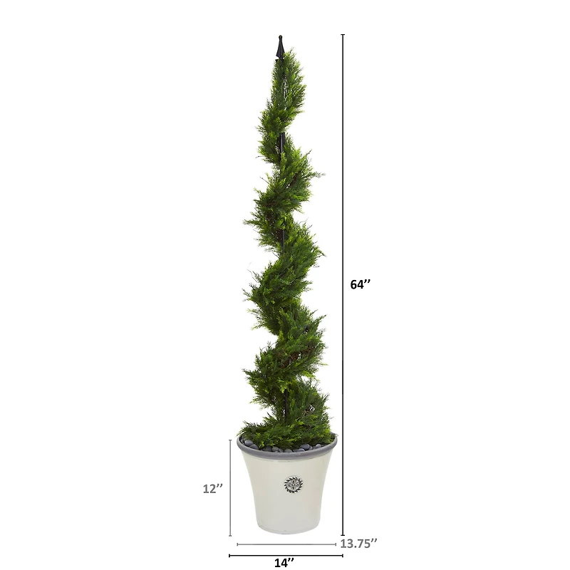 5.5ft. Cypress Spiral Tree in Decorative Planter