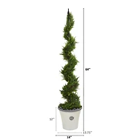 5.5ft. Cypress Spiral Tree in Decorative Planter