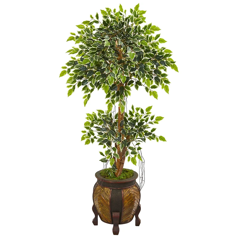 5ft. Variegated Ficus Artificial Tree in Footed Planter