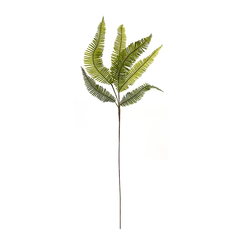 Fern Spray, 6ct.