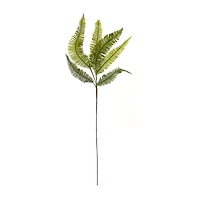 Fern Spray, 6ct.