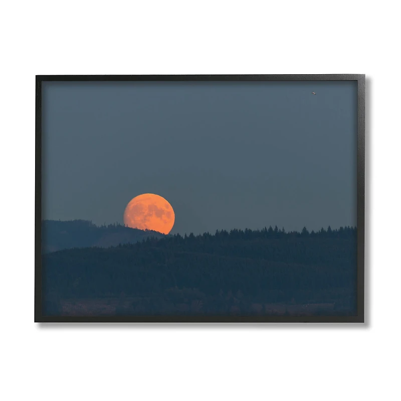 Stupell Industries Orange Moon over Dark Mountain Tree Forest in Frame Wall Art