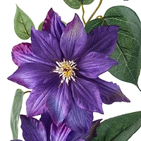 12 Pack: Purple Clematis Stem by Ashland®