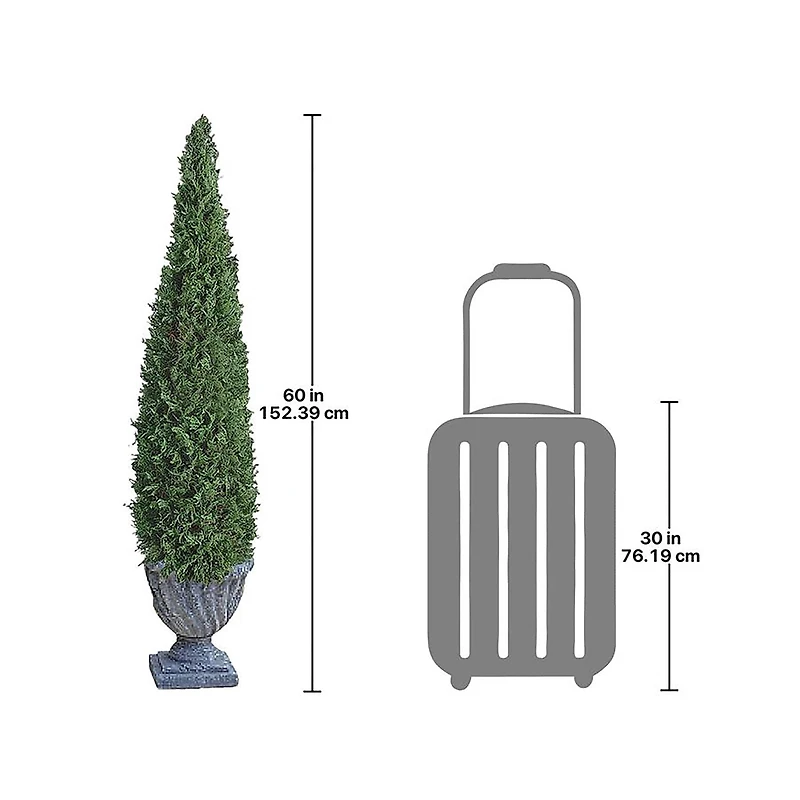 Design Toscano 5ft. Large Cone Topiary Tree 