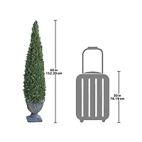 Design Toscano 5ft. Large Cone Topiary Tree 