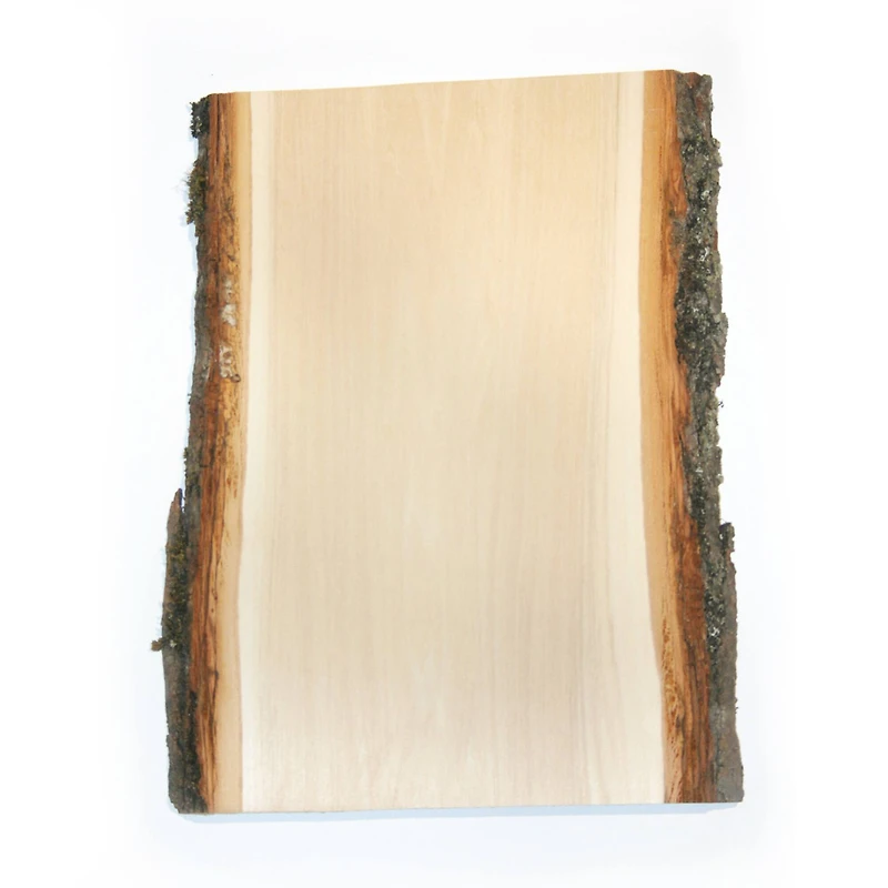 Wilson® Enterprises 8" x 11" Basswood Planks, 4ct.