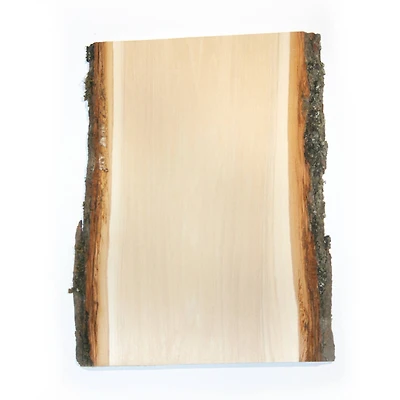 Wilson® Enterprises 8" x 11" Basswood Planks, 4ct.