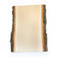 Wilson® Enterprises 8" x 11" Basswood Planks, 4ct.