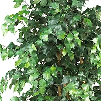 6ft. Potted Palace Style Ficus Tree