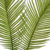 Green Sago Palm Stem by Ashland®
