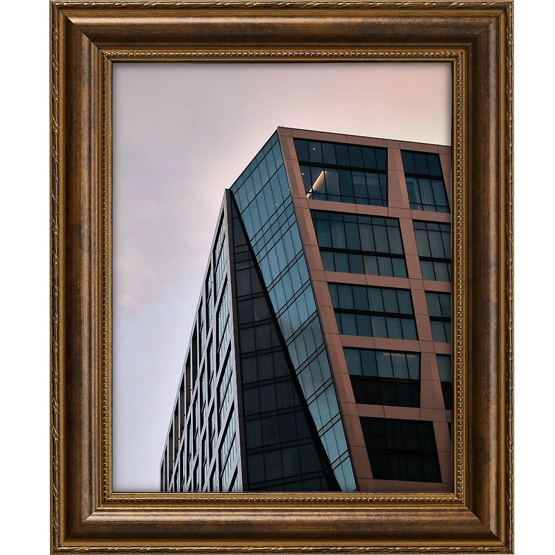 Craig Frames Victoria Bronze Picture Frame