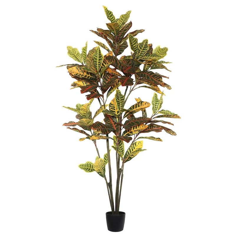 5ft. Potted Green & Orange Croton Tree