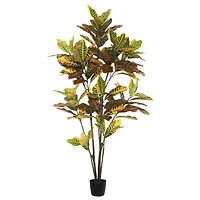 5ft. Potted Green & Orange Croton Tree