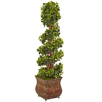 4ft. English Ivy Spiral Tree in Metal Planter