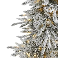 6.5ft. Pre-Lit Flocked Grand Northern Rocky Fir Artificial Christmas Tree, Warm Micro LED Lights