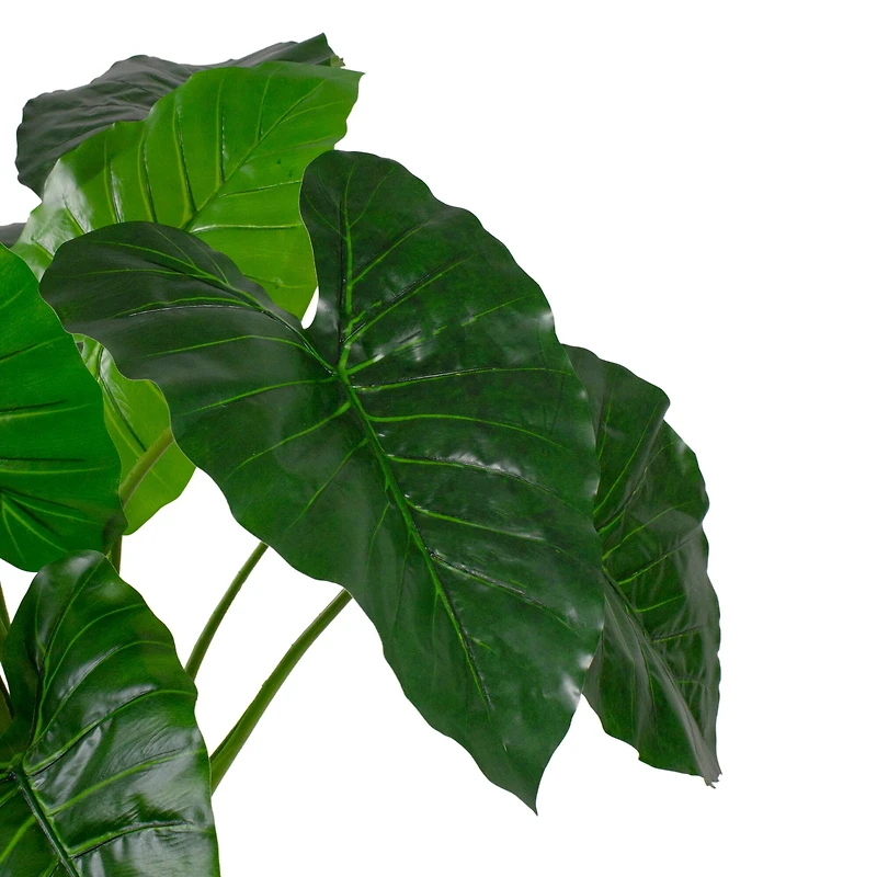 4.25ft. Potted Wide Leaf Taro Floor Plant