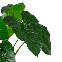 4.25ft. Potted Wide Leaf Taro Floor Plant