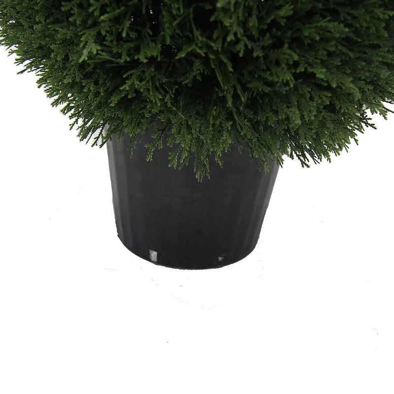 3ft. Potted Cedar Teardrop Shaped Bush