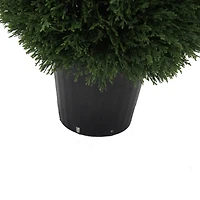 3ft. Potted Cedar Teardrop Shaped Bush