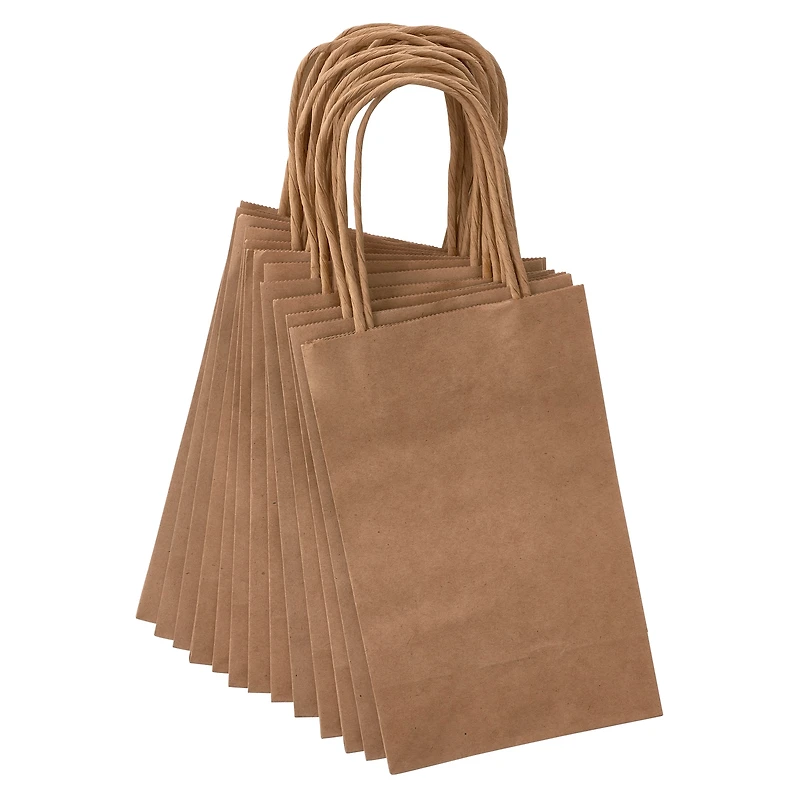 Kraft Small Gift Bags by Celebrate It™