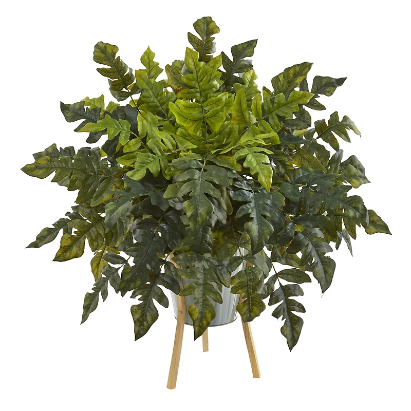 2ft. Holly Fern Plant in Green Planter with Stand