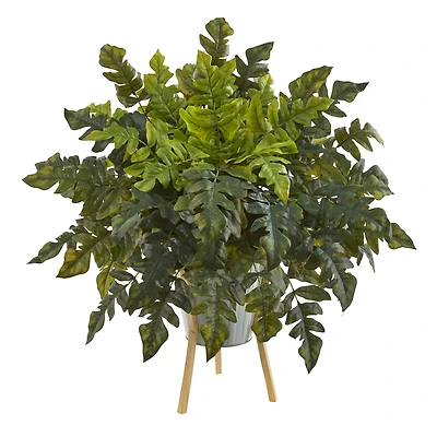 2ft. Holly Fern Plant in Green Planter with Stand