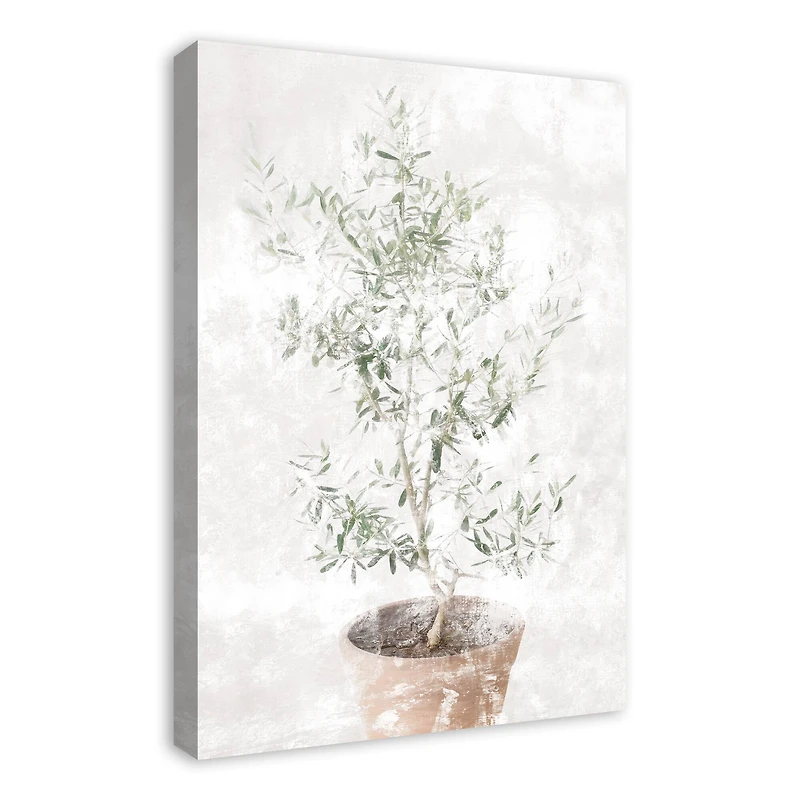 Washed Olive Tree 20" x 30" Canvas Wall Art