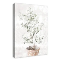 Washed Olive Tree 20" x 30" Canvas Wall Art