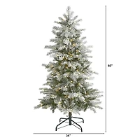 5ft. Pre-Lit Nova Scotia Spruce Artificial Christmas Tree, Warm White LED Lights