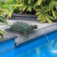 Design Toscano 12" Traipsing Turtle Bronze Garden Statue