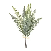 20.5" Fern Foliage Bundles, 2ct.