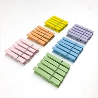 Medium Pastel Clothespins by Recollections™