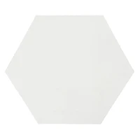 12" x 12" White Hexagon Cotton Duck Canvas by Craft Smart™
