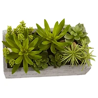 13" Succulent Garden with Concrete Planter 