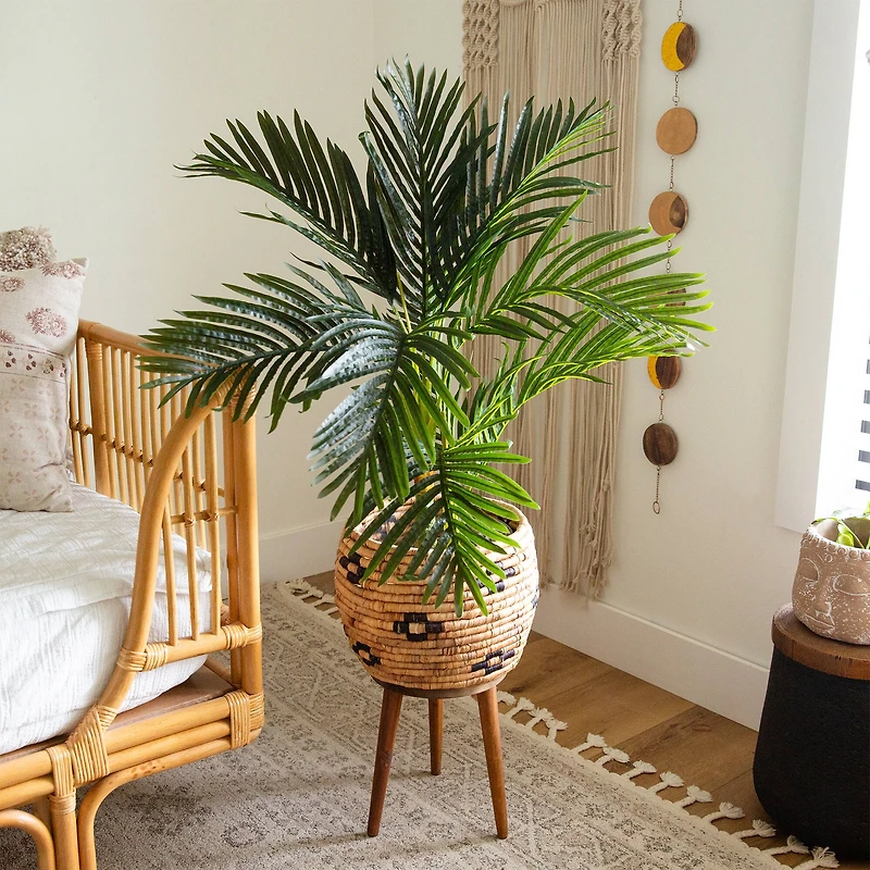3ft. Potted Golden Cane Palm Tree