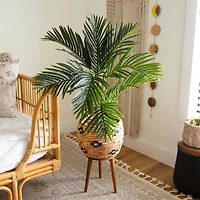 3ft. Potted Golden Cane Palm Tree