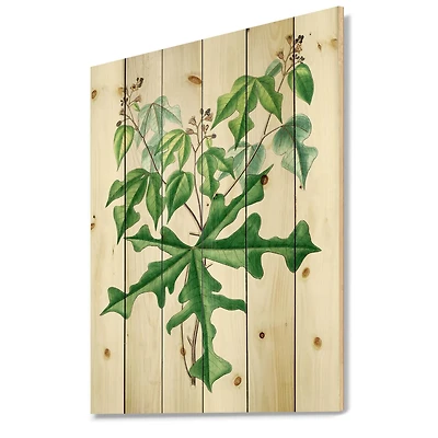 Designart - Vintage Drawing of Wild Plants