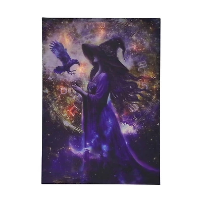 17" x 23.5" Witch LED Wall Décor by Ashland®