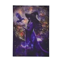 17" x 23.5" Witch LED Wall Décor by Ashland®