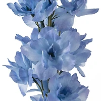 12 Pack: Light Blue Larkspur Stem by Ashland®