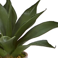 14" Agave Succulent in Decorative Planter