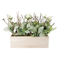 11" Lambs Ear Centerpiece in Woodgrain Planter