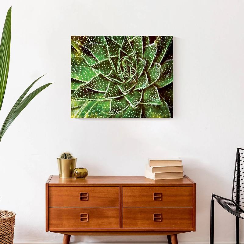 Spotty Succulent 20" x 16" Canvas Wall Art