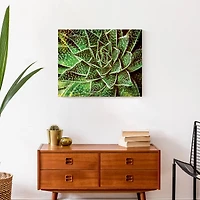 Spotty Succulent 20" x 16" Canvas Wall Art