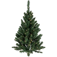 3ft. Pre-Lit Buffalo Fir Artificial Christmas Wall or Door Tree, Clear Dura Lights