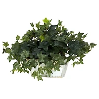 14" Ivy in White Planter