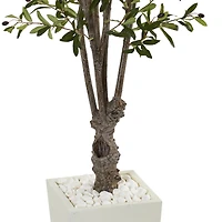 6ft. Olive Tree In White Tower Planter