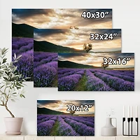 Designart - Sunrise & Dramatic Clouds Over Lavender Field VII