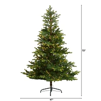 6ft. Pre-Lit North Carolina Spruce Artificial Christmas Tree, Clear Lights